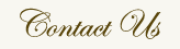  Contact Us 